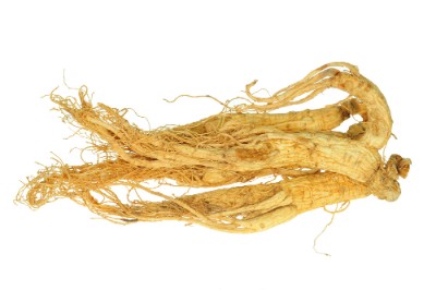 Ginseng-Wurzeln