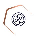Zellteilung