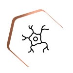 nu3 Vitamin B Komplex Nervensystem Icon