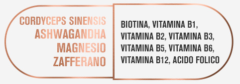 Ingredienti capsula giorno