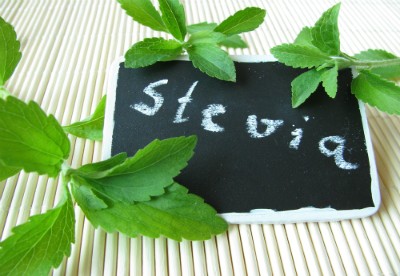 Stevia, die Süsse ohne Kalorien