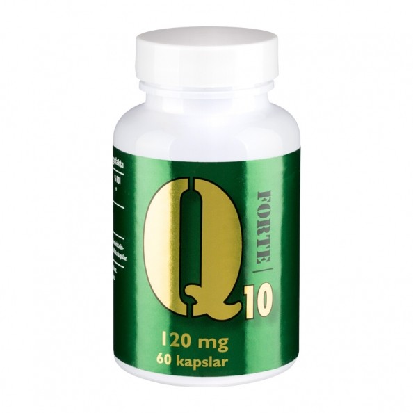 video porno italia free video chatamigos