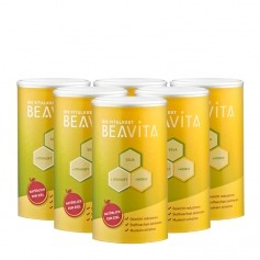 Beavita Vitalkost Powder Six Pack