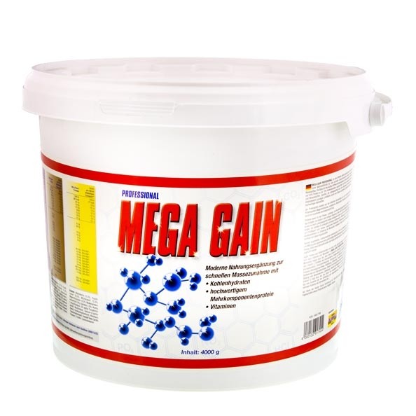 bms mega gain professional vanille poudre 4000 g 61701 6543 10716 1 productbig